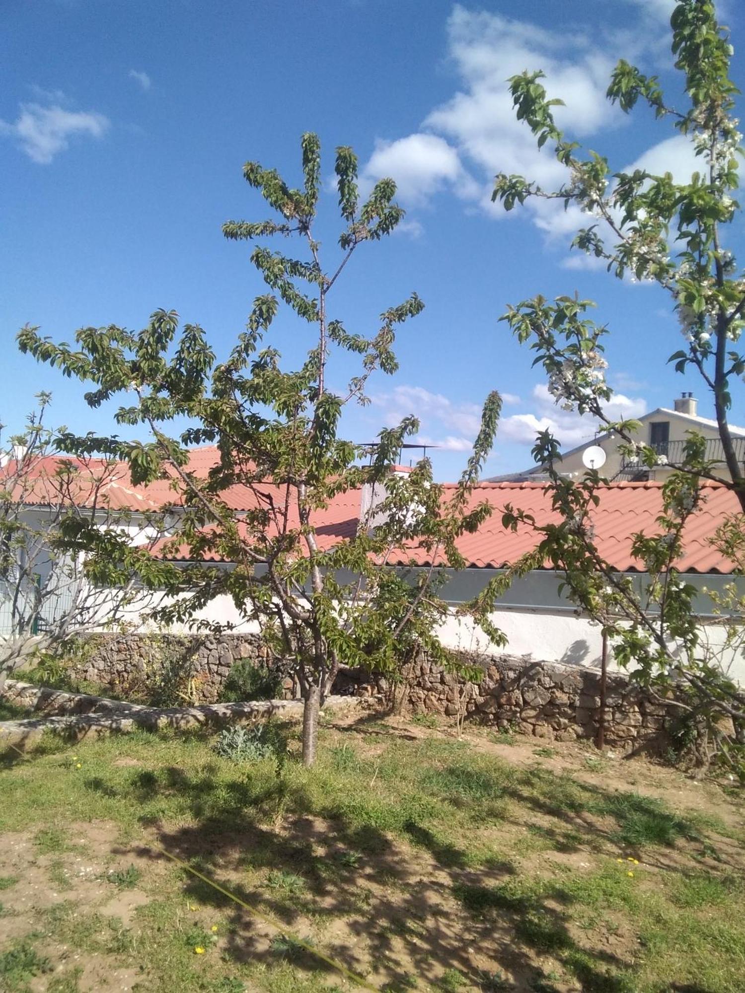 Guesthouse Martina Senj  Exterior photo